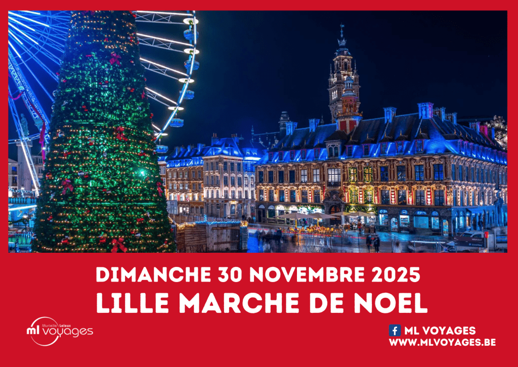 Lille marché de Noel 